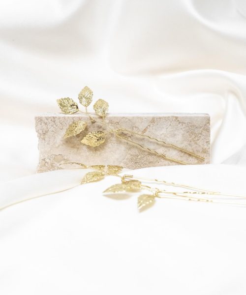 HS LF Gold scaled.jpg